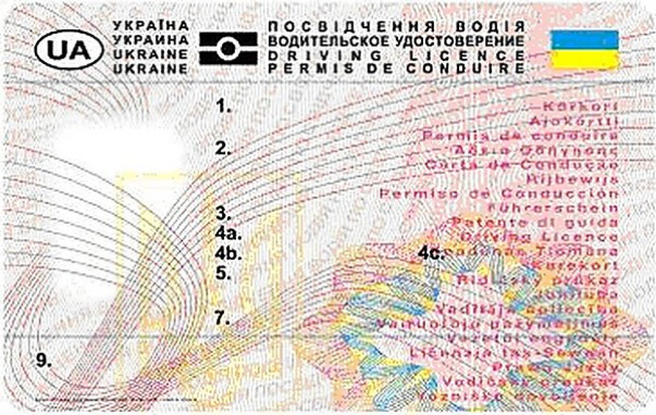Ukrainian driver's license